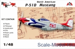 Trainer aircraft / Sport: North American P-51D Mustang, AMG Models, Scale 1:48