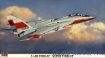 Fighters: F-14B Super Tomcat, Hasegawa, Scale 1:72