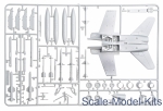 F/A18 Wild Weasel C/D