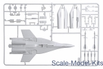 MIG-29 Fulcrum